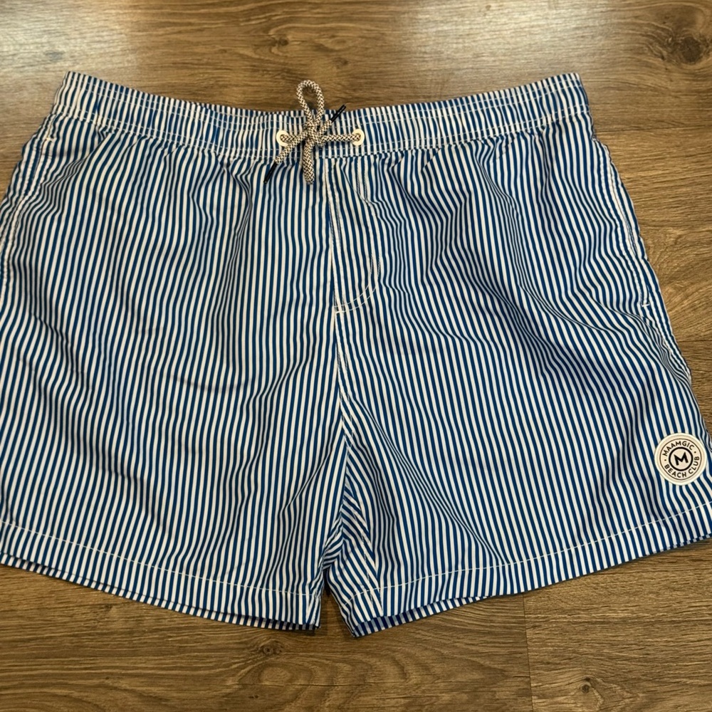 Men's Blue White Striped Swim Trunks